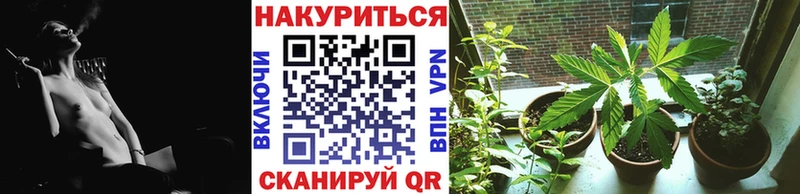 Купить закладки  Высоковск  Конопля THC 21% 